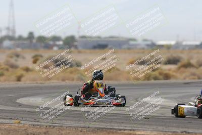 media/Mar-29-2025-Pro Autosports (Sat) [[89b1c017ad]]/6-Purple Group/Main Race/